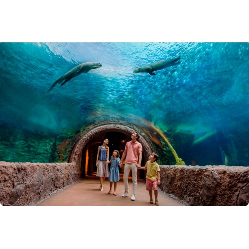  River Wonders Singapore Ticket 