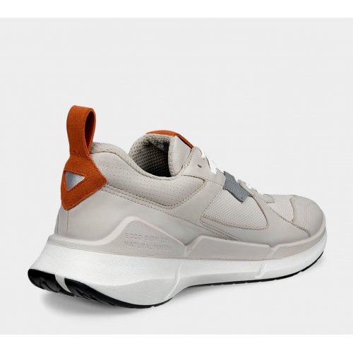 ECCO biom 2.2 low gtx men's sneaker