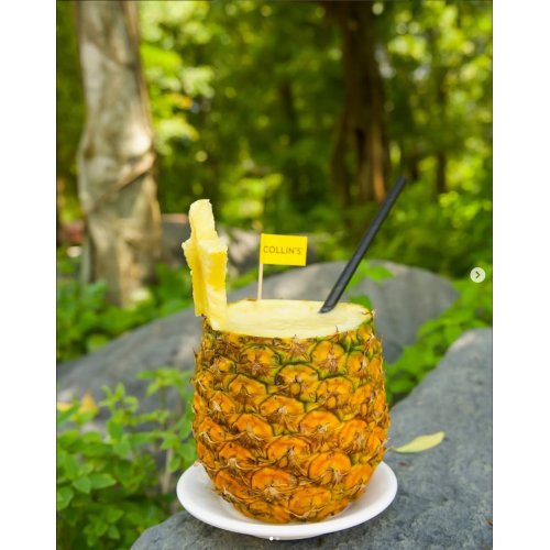 Enjoy Pina Colada only at $9.90