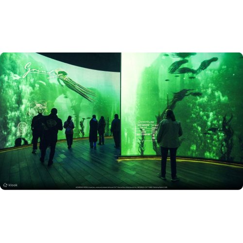  Harry Potter: Visions of Magic