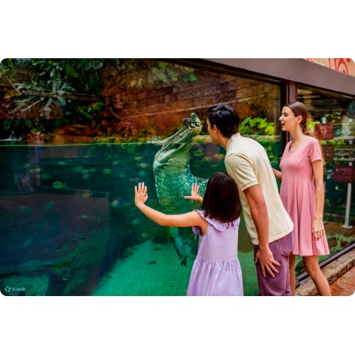  River Wonders Singapore Ticket 