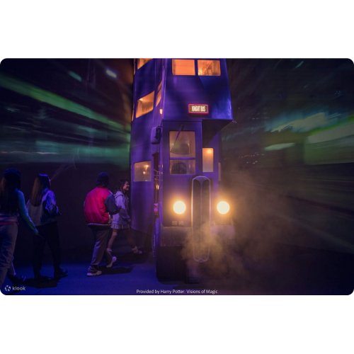  Harry Potter: Visions of Magic