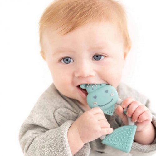 Cheeky Chompers Teething Toy - Chewy The Hippo