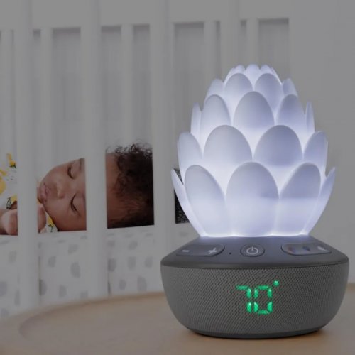 Skip Hop Cry-Activated Soother - Terra