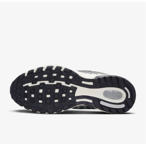 Nike Air Pegasus 2005