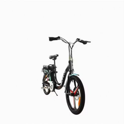 Ebike Eco Drive V2