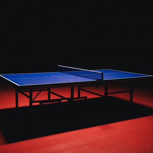 Table Tennis Table Pongori TTT500 ITTF Approved