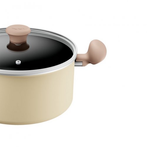 Tefal DAISY 24CM TITANIUM INDUCTION HEATING STEW <span style='filter: blur(2.5px);'>***</span> WITH LID (H04946)