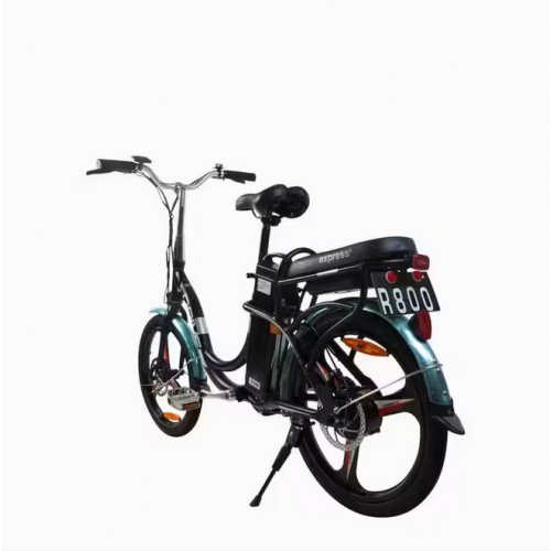 Ebike Eco Drive V2