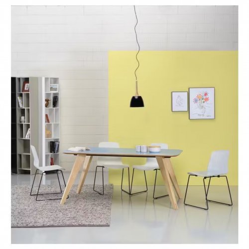 (As-is) Bianca Dining Chair - Matt Black, Teal