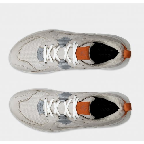 ECCO biom 2.2 low gtx men's sneaker