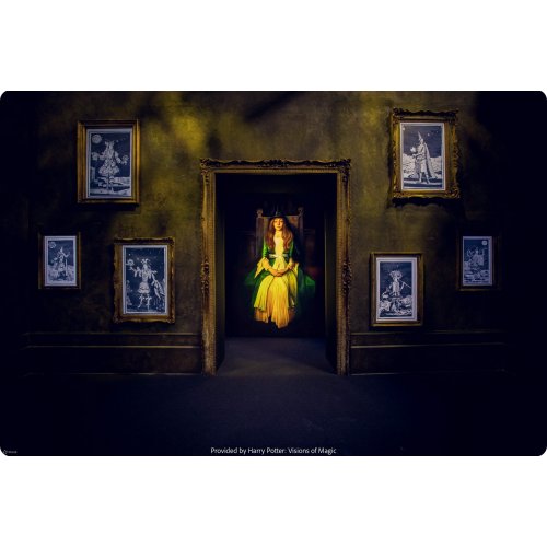  Harry Potter: Visions of Magic