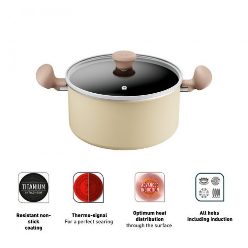 Tefal DAISY 24CM TITANIUM INDUCTION HEATING STEW <span style='filter: blur(2.5px);'>***</span> WITH LID (H04946)