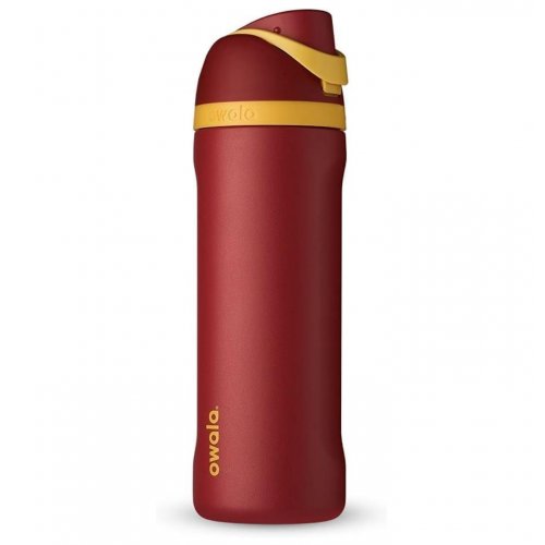 Owala Harry Potter FreeSip Insulated Stainless Steel Water Bottle with Straw