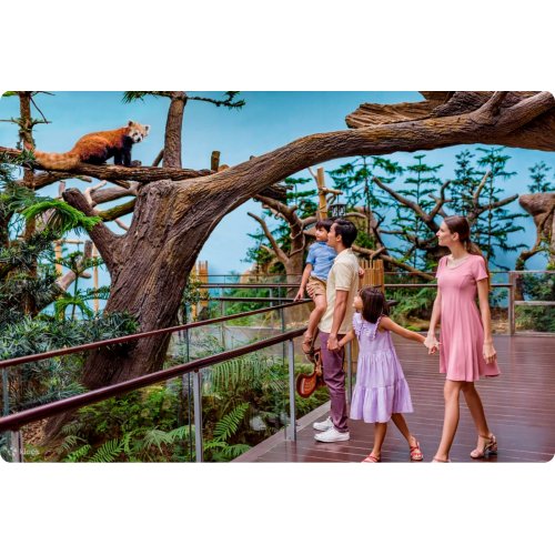  River Wonders Singapore Ticket 