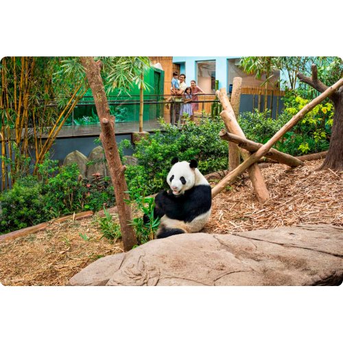  River Wonders Singapore Ticket 