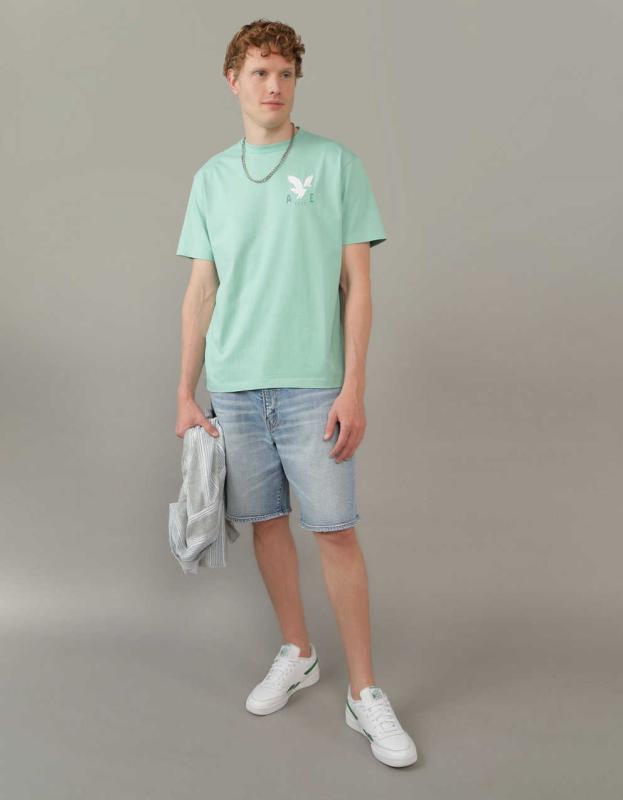 AE Logo Graphic T-Shirt - Mist Green, M 