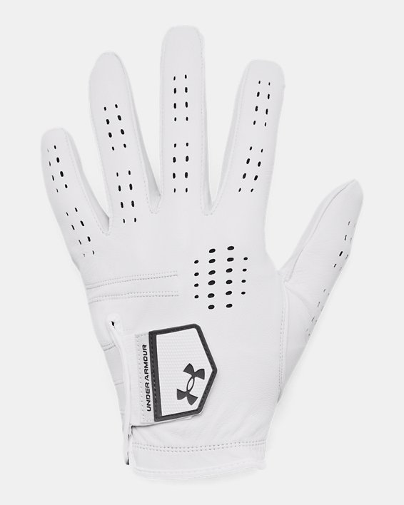 UA Drive Tour Men's Glove