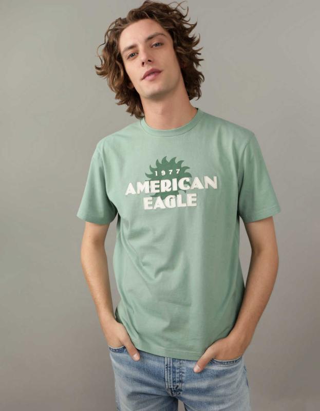 AE Logo Graphic T-Shirt - Dried Sage, XXL 