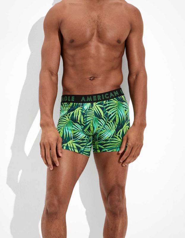 AEO Palm Leaves 4.5
