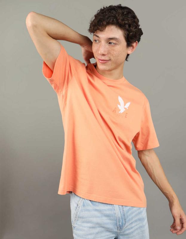 AE Logo Graphic T-Shirt - Orange Flare, L 