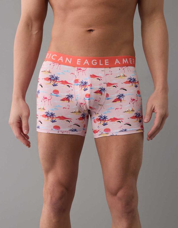 AEO Flamingos 4.5" Classic Boxer Brief - Pink, M 