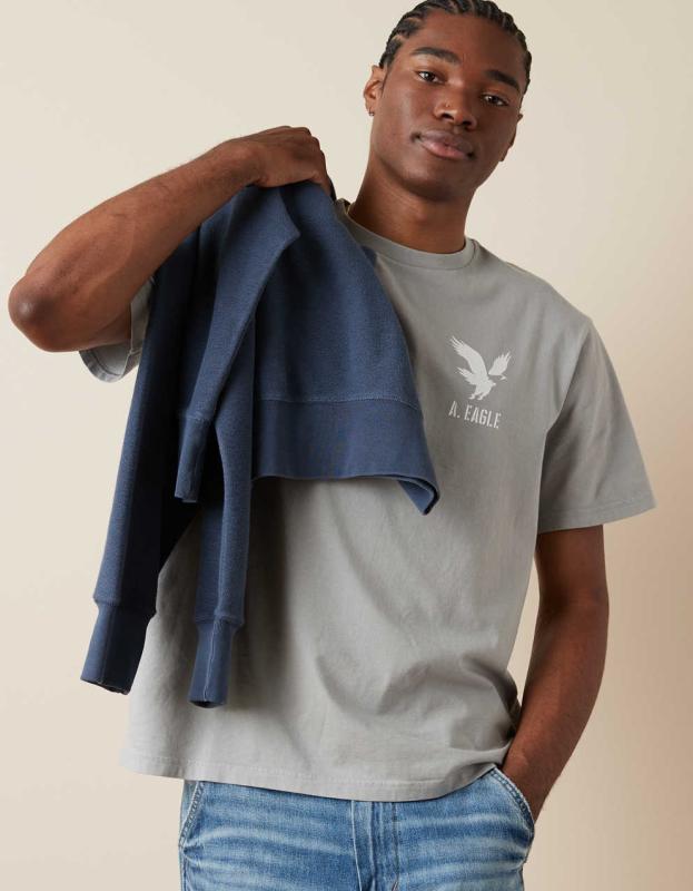 AE Logo Graphic T-Shirt - Gray, XS 