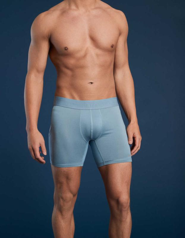 AEO 6" Active Flex Boxer Brief - Blue, M 