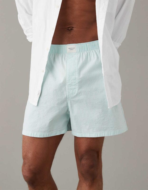 AEO Men's Striped Stretch Boxer Short - Mint, S 