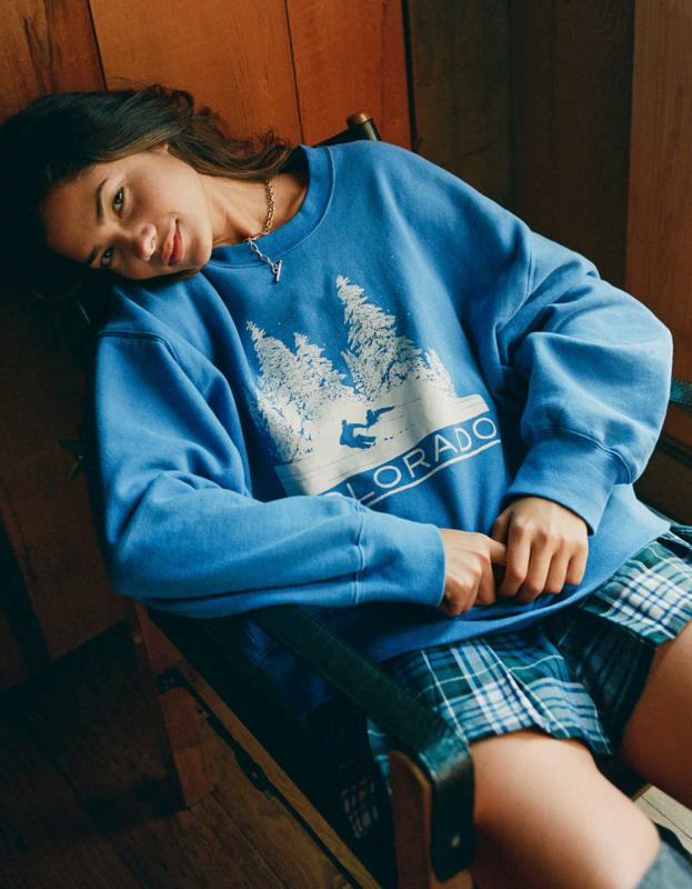 AE Pullover Hoodie - Blue, L 