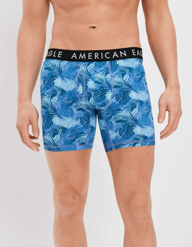 AEO Tropical 6" Classic Boxer Brief - Classic Blue, L 