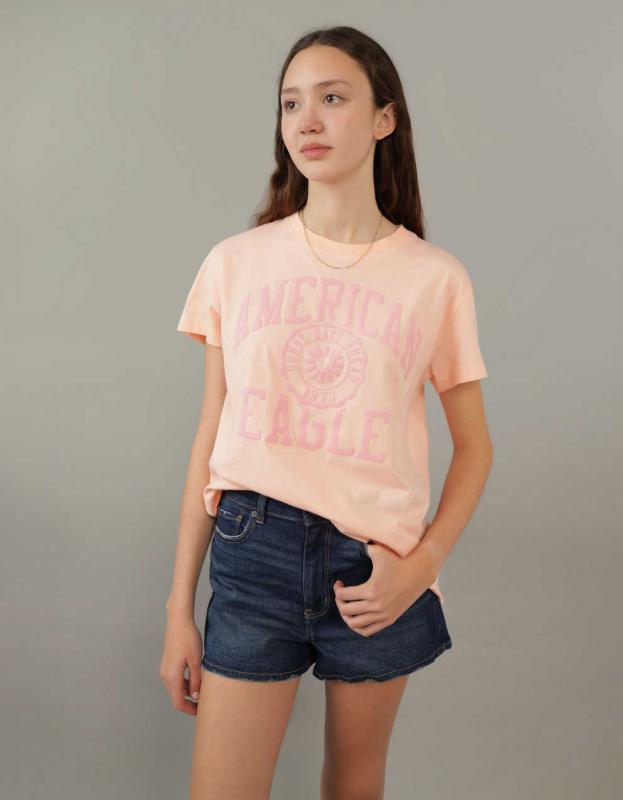 AE Short-Sleeve Graphic Tee - Blush, L 