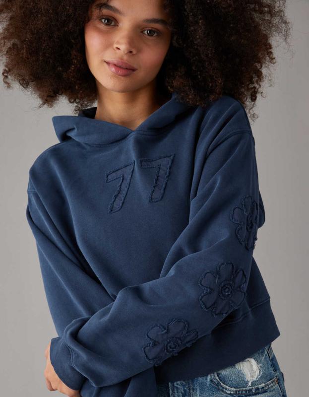 AE Classic Graphic Hoodie - Blue, M 