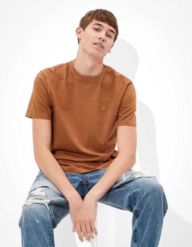 AE Legend T-Shirt - Brown, L 