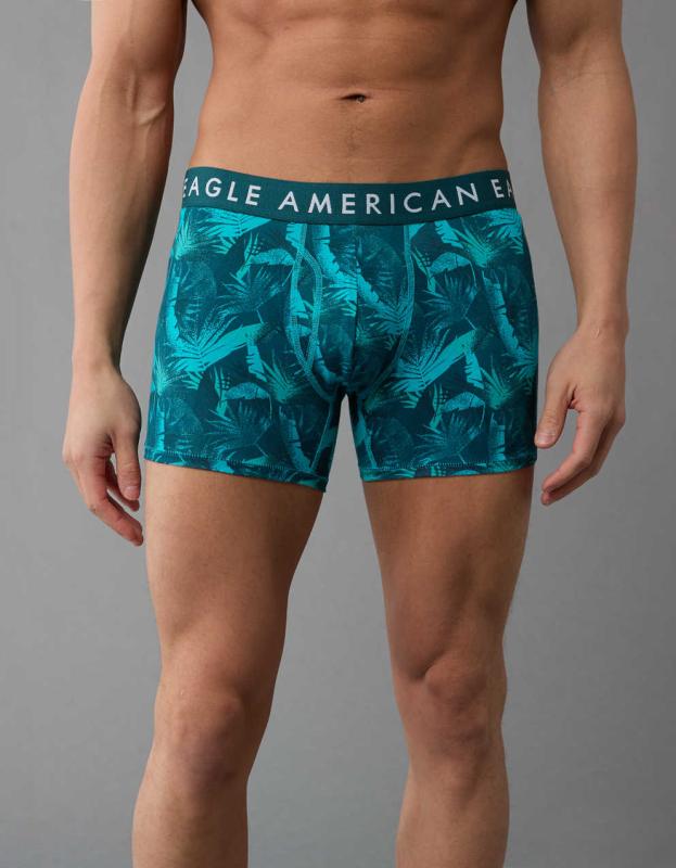 AEO Men's Palm Trees 4.5" Classic Boxer Brief - Teal, S 