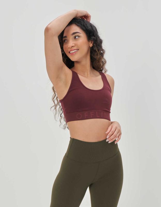 OFFLINE By Aerie OG Logo Band Sports Bra - Royal Berry, XS 