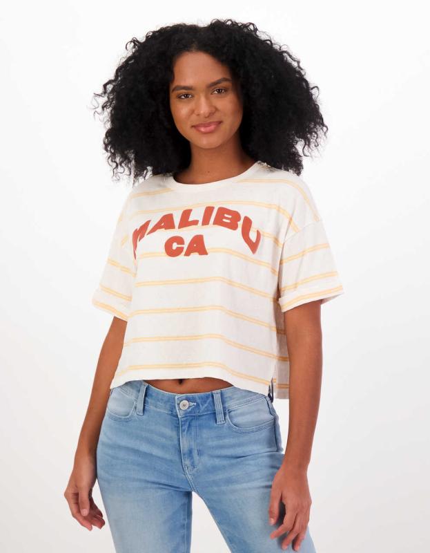 AE Cropped Graphic Tee - Orange, L 