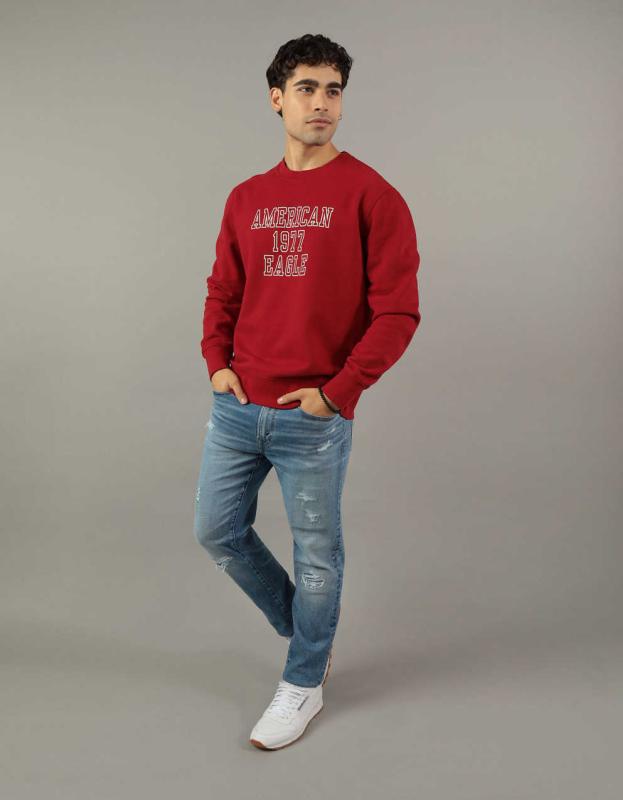 AE Icon Graphic Full-Zip Hoodie - Red, XS 