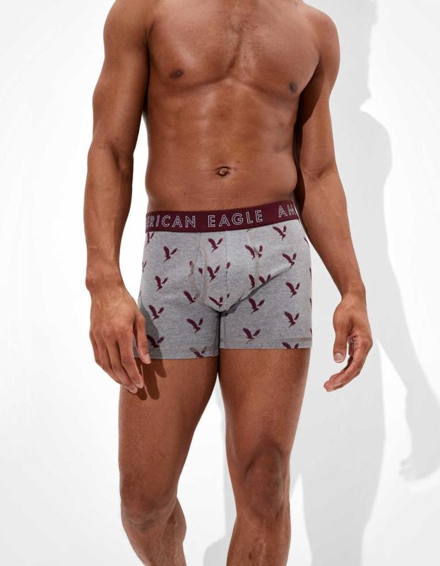 AEO Eagle 4.5" Classic Boxer Brief - Gray, XS 