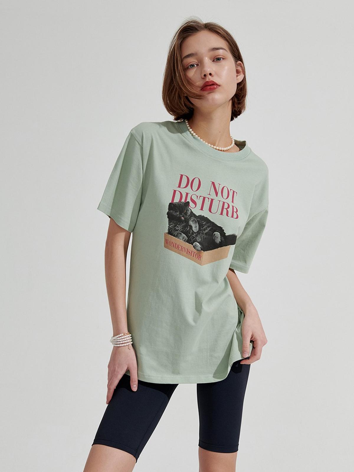 Wonder Visitor x Box Cat Overfit Tee - MInt