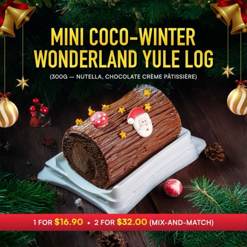 Mini Coco-Winter Wonderland Yule Log