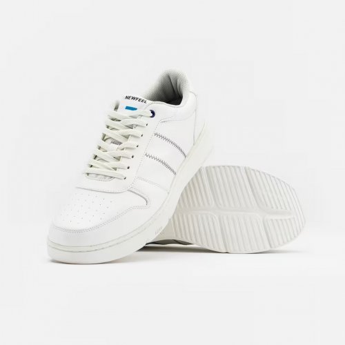 Camping Equipment Terrain Transport Trolley