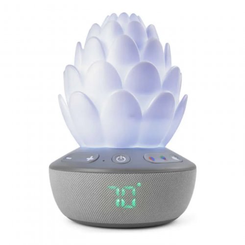 Skip Hop Cry-Activated Soother - Terra