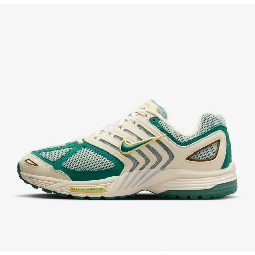 Nike Air Pegasus 2005