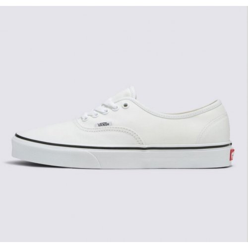 Color Theory Authentic