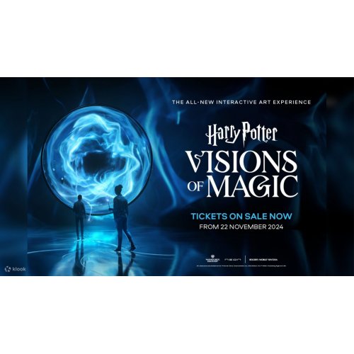  Harry Potter: Visions of Magic