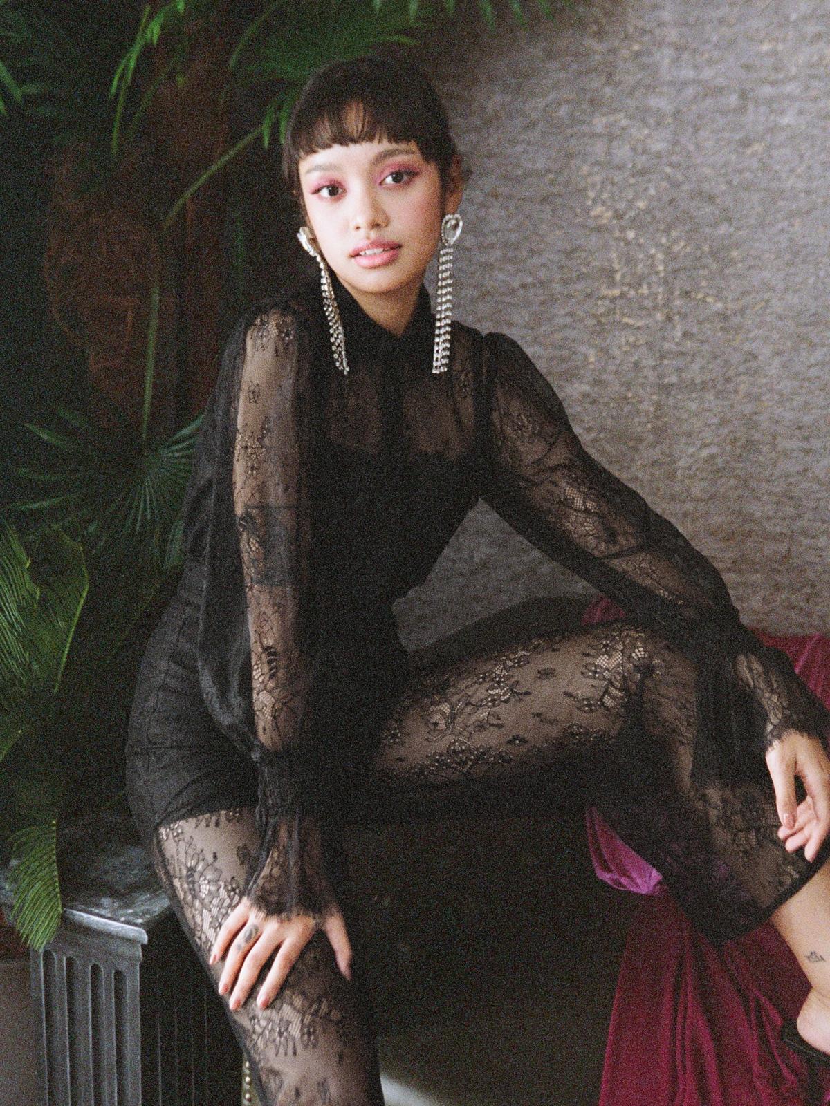 Sheer Lace High Waist Pants - Black