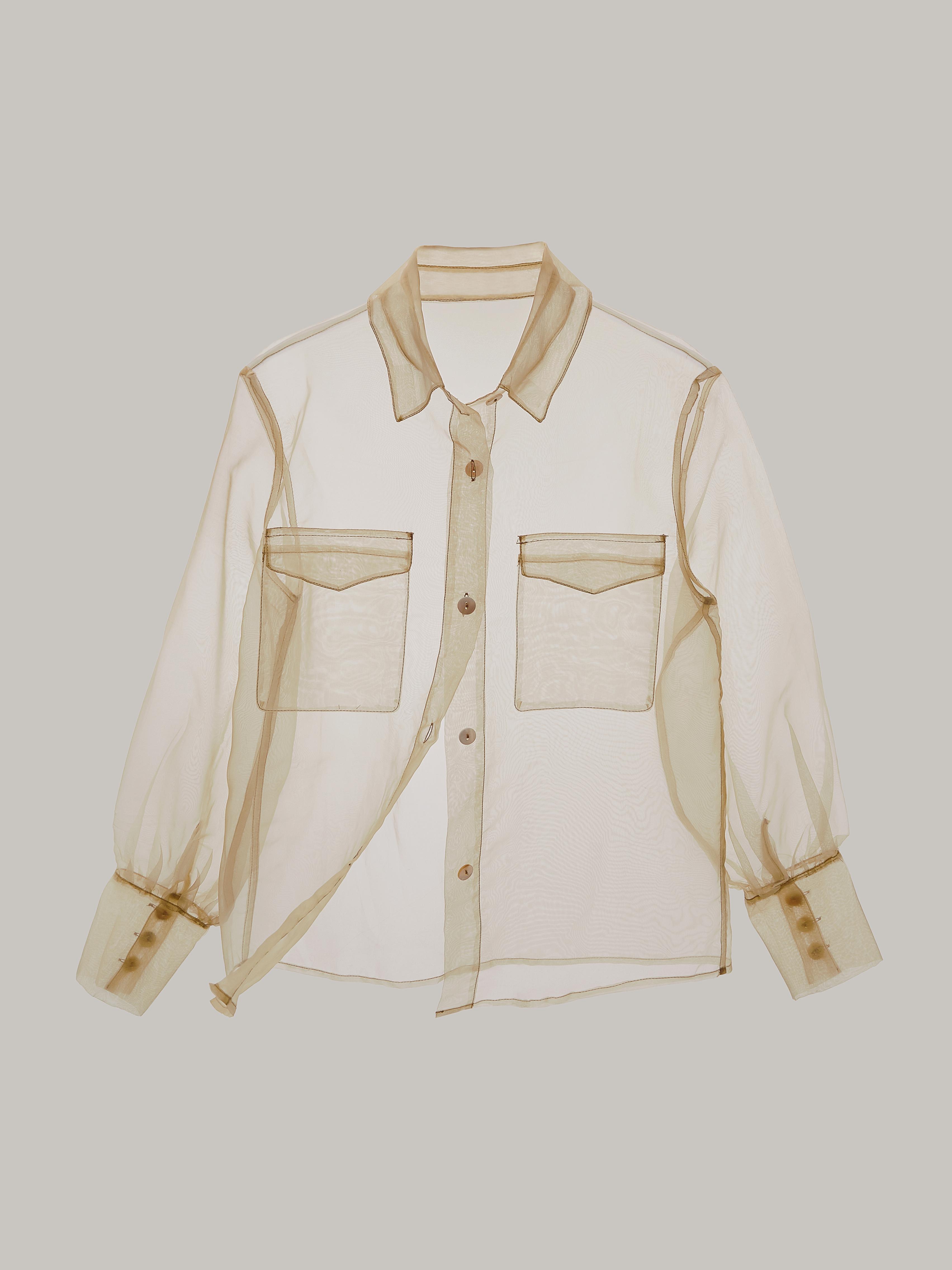 Sheer Buttoned Down Top - Beige