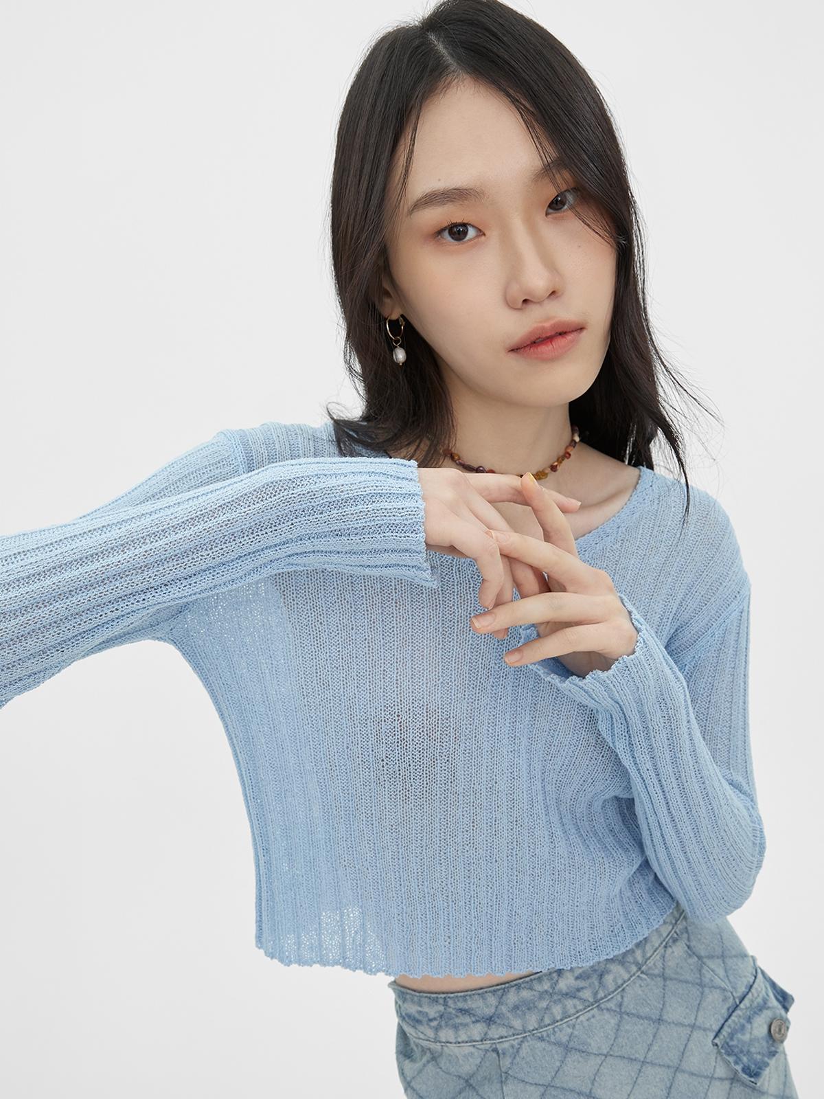 Semi Sheer Long Sleeve Top - Blue