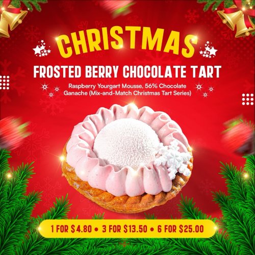 Christmas Frosted Berry Chocolate Tart